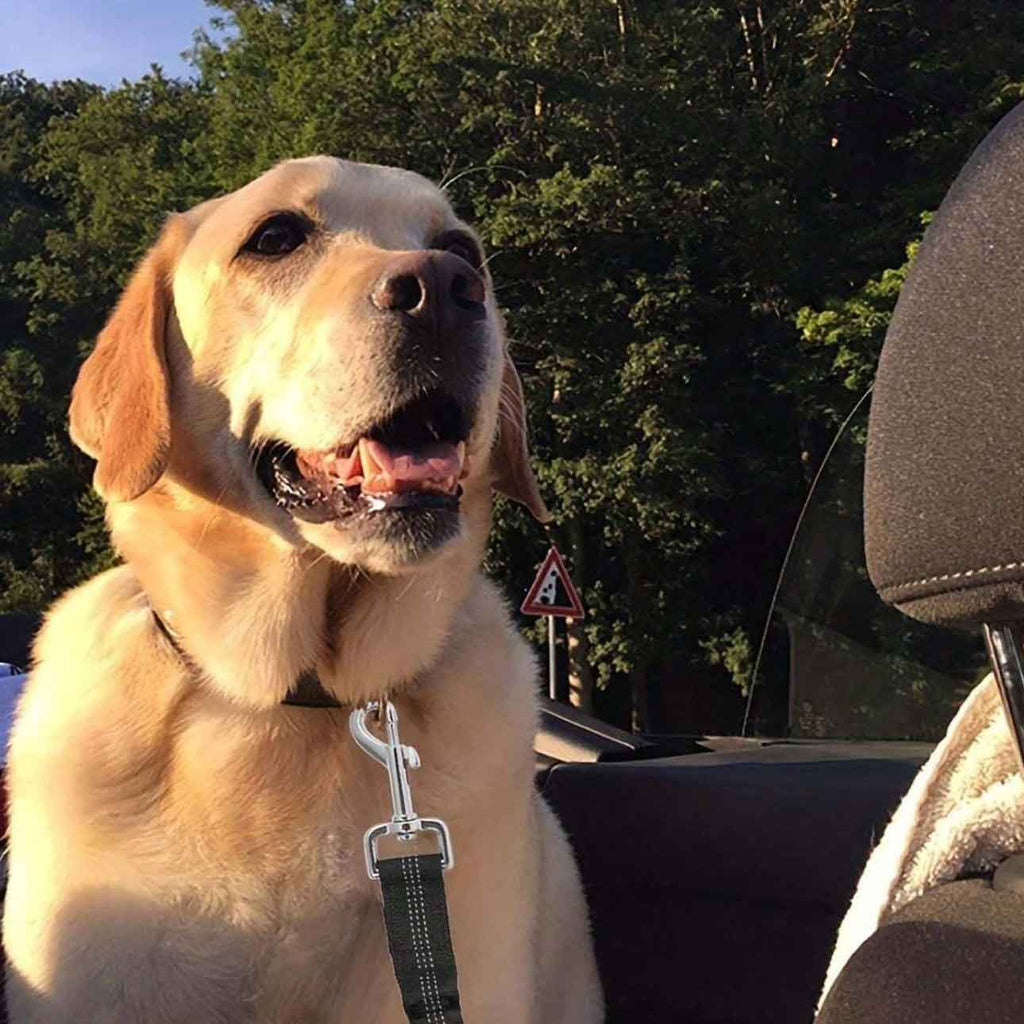 Еластичен предпазен колан за куче за кола